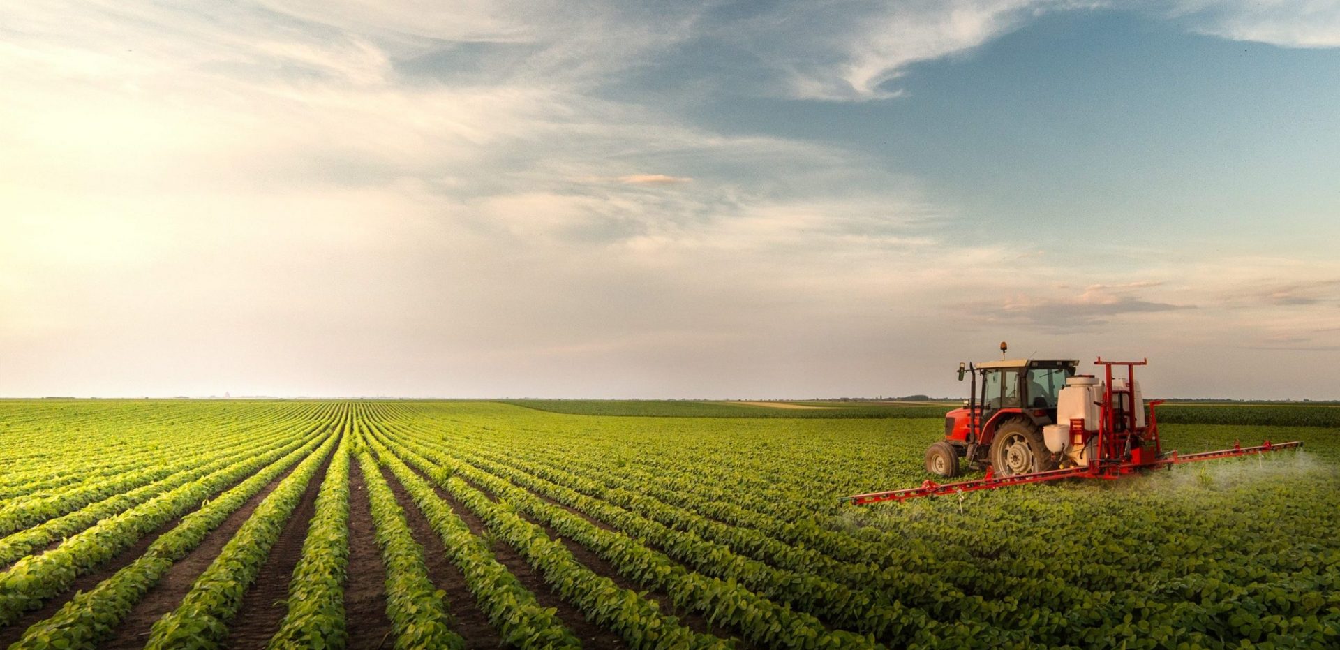 Tractor spraying glyphosate at soy bean field